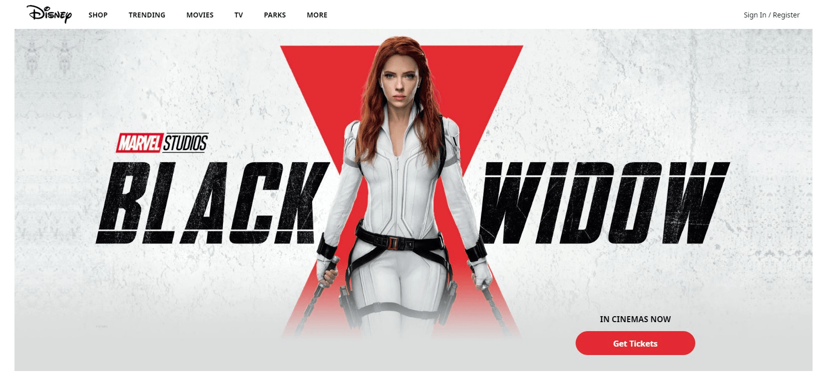 成功品牌網站案例四 成功品牌網站案例四